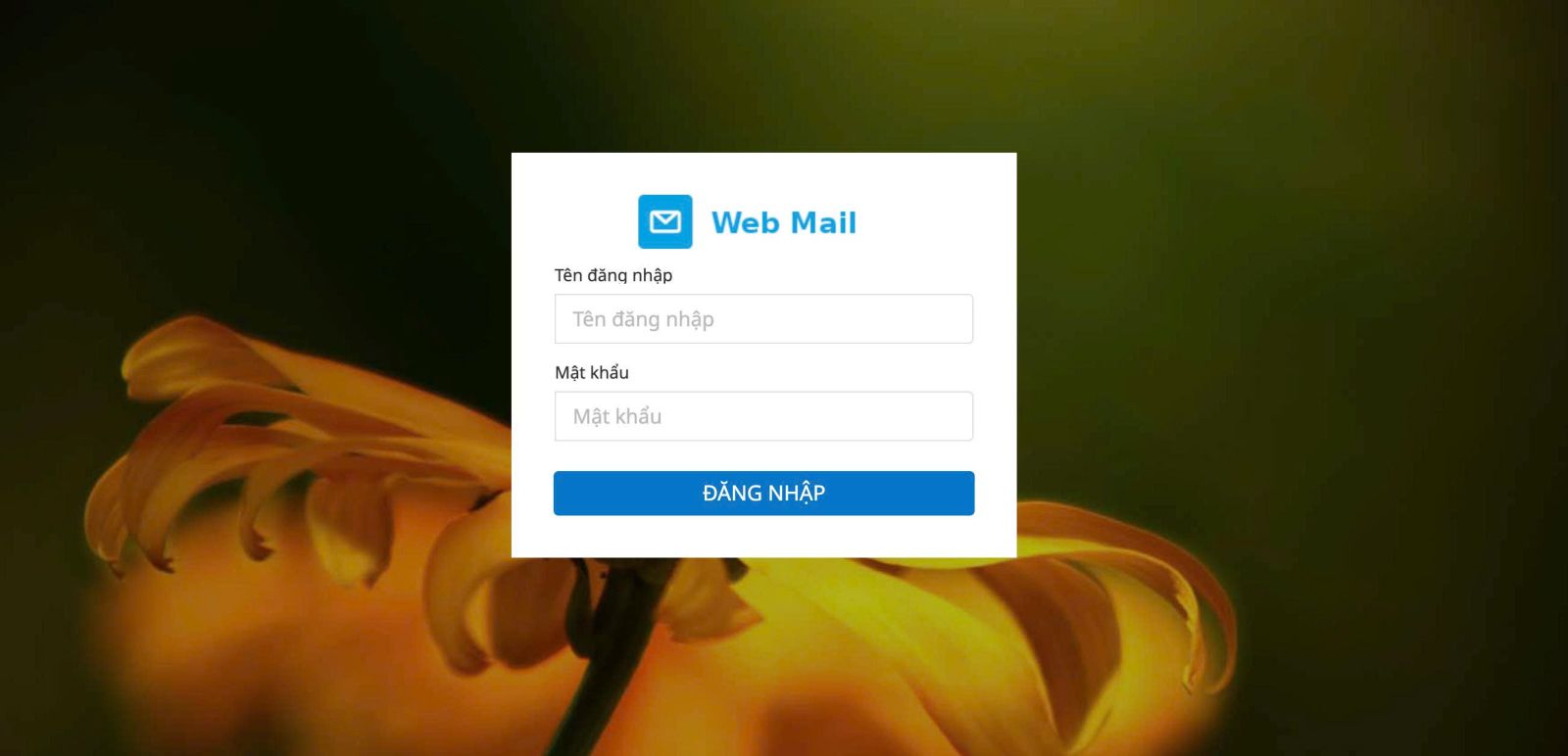 Hướng dẫn sử dụng webmail